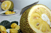 Jackfruit festival, Halasu Mela  makes waves for taste buds